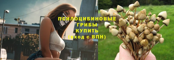 тгк Заволжск